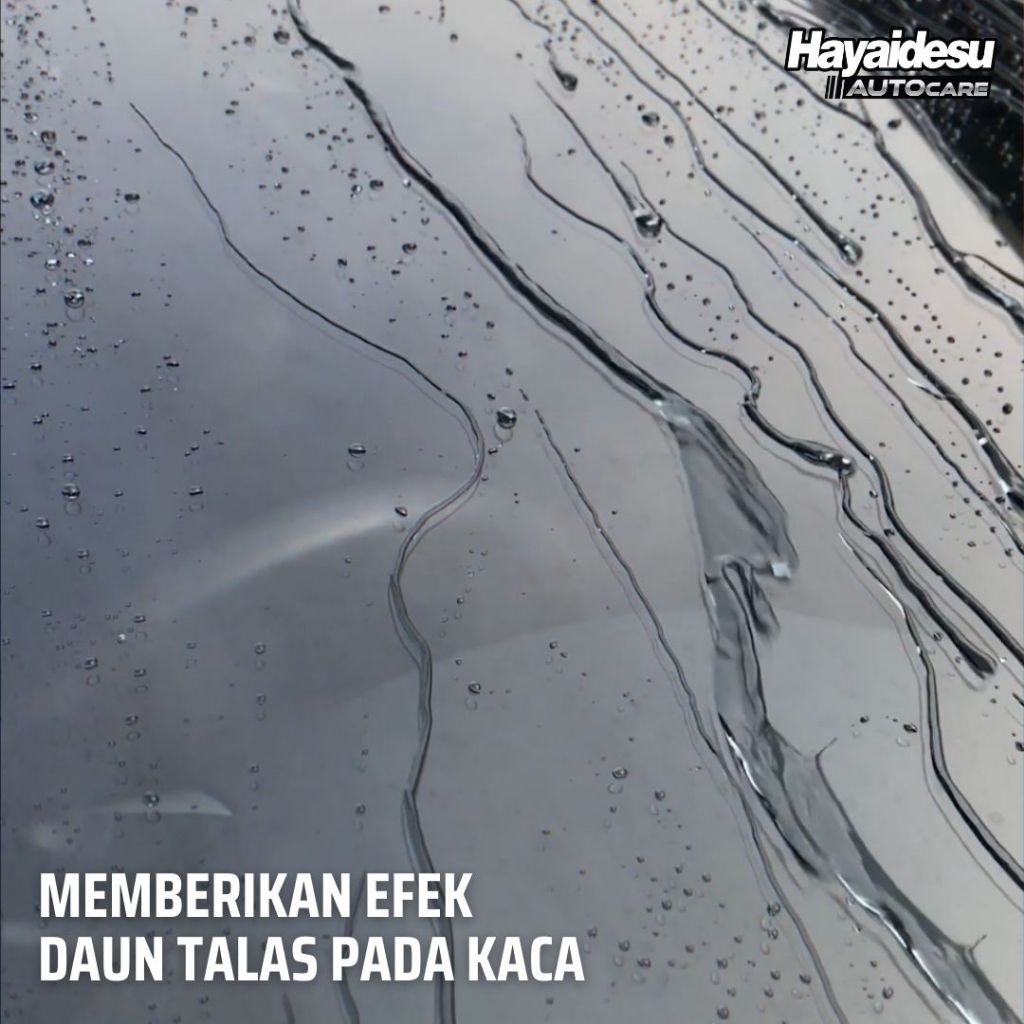Hayaidesu GLASS GUARD - Semi Coating Kaca - Efek Daun Talas