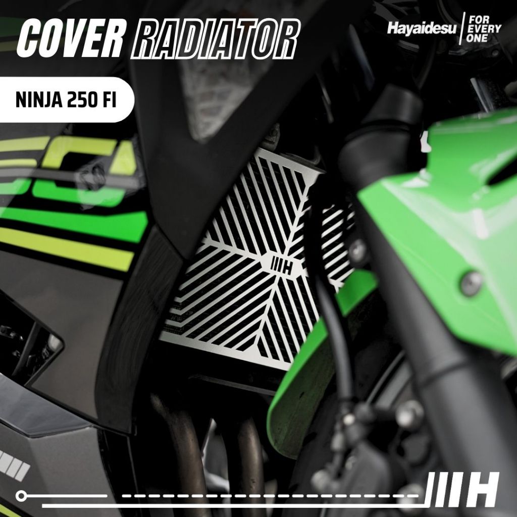 HAYAIDESU RADIATOR COVER KAWASAKI NINJA 250 FI